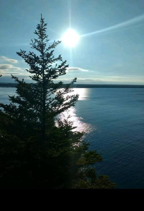 Family Friendly Cottage ☆Walking Distance To Beach Lion's Head Esterno foto