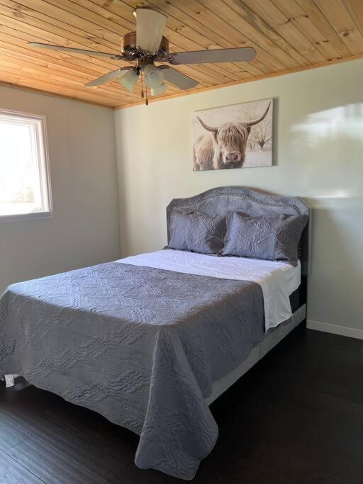 Family Friendly Cottage ☆Walking Distance To Beach Lion's Head Esterno foto