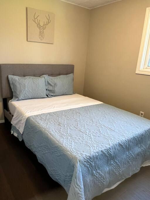 Family Friendly Cottage ☆Walking Distance To Beach Lion's Head Esterno foto